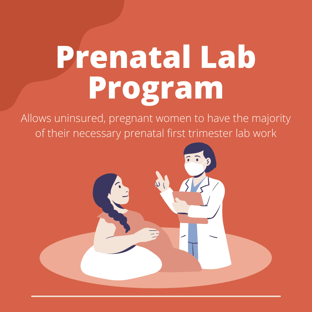 Website and Social  (37)