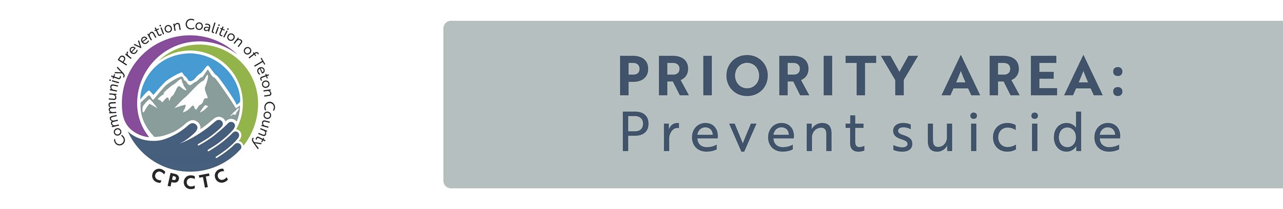 Priority Area: Suicide Prevention