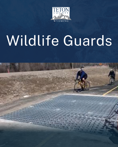 Engage Page - Wildlife Guards- 1080x1350