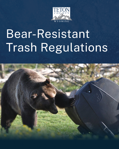 Engage Page - Bear Trash 1- 1080x1350_sm