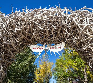 Jackson Hole WY